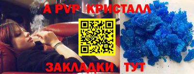 сатива Новозыбков