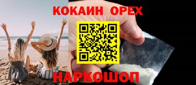 сатива Новозыбков