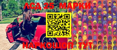 сатива Новозыбков