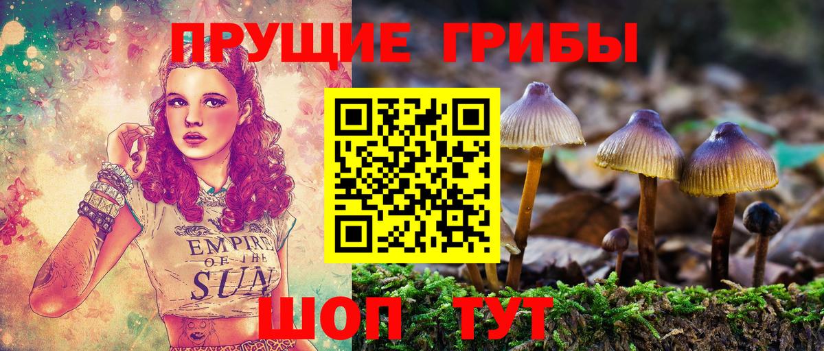 Скопин  Галлюциногенные грибы GOLDEN TEACHER  Псилоцибиновые грибы мицелий  Вход с VPN 